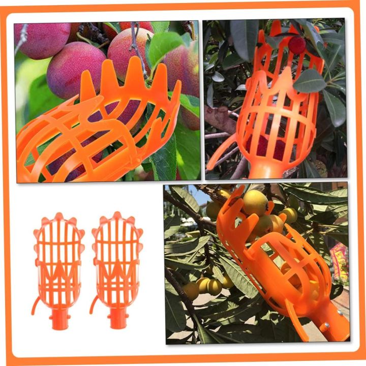 Fruit%20Catcher%20Head%20Fruit%20Harvest%20Tool%20-%20Image%205