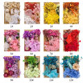 Mixed Multiple Colorful Dried Flowers For Resin Multicolor Jewelry Molds Real Pressed Dry Flower Leaves. 