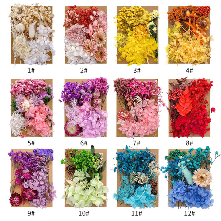 Mixed%20Multiple%20Colorful%20Dried%20Flowers%20For%20Resin%20Multicolor%20Jewelry%20Molds%20Real%20Pressed%20Dry%20Flower%20Leaves%20-%20Image%202