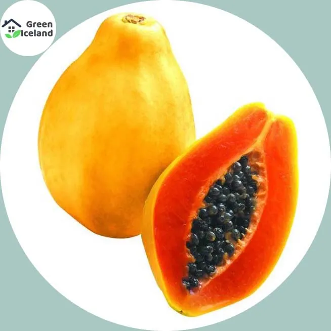 All%20Season%20Yellow%20Gold%20Papaya%20Seeds(%E0%A6%B9%E0%A6%B2%E0%A7%81%E0%A6%A6%20%E0%A6%AA%E0%A7%87%E0%A6%81%E0%A6%AA%E0%A7%87%20%E0%A6%AC%E0%A7%80%E0%A6%9C)-%205%20Pcs%20Seeds%20-%20Image%203