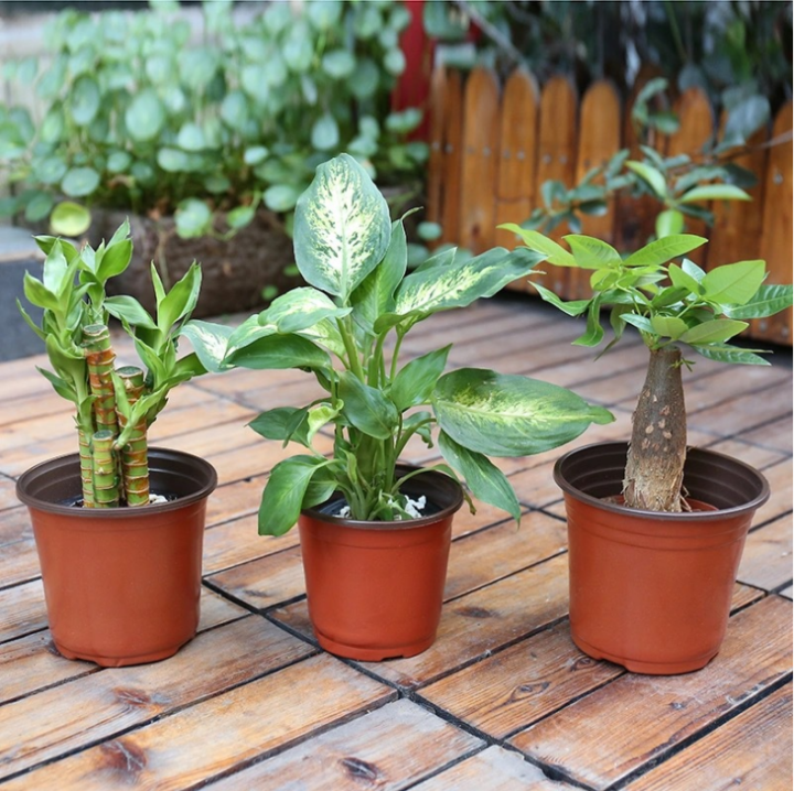 3.5Inchi(15pcs)Two-color%20flower%20pot%20PP%20soft%20plastic%20nursery%20home%20gardening%20succulent%20flower%20pot%2015%20pcs%20-%20Image%206