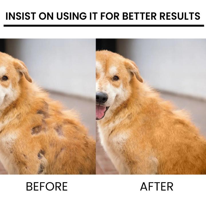 Cat%20Hair%20Regrowth%20Liquid%20Dog%20Hair%20Loss%20Treatment%20Promote%20Cat%20Hair%20Growth%20Pet%20Skin%20Repair%20Relieve%20Itching%20Pet%20Skin%20Repair%20Essence%20-%20Image%206