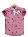 Pink Colour Cotton Full Sleeve Shirt For Men.