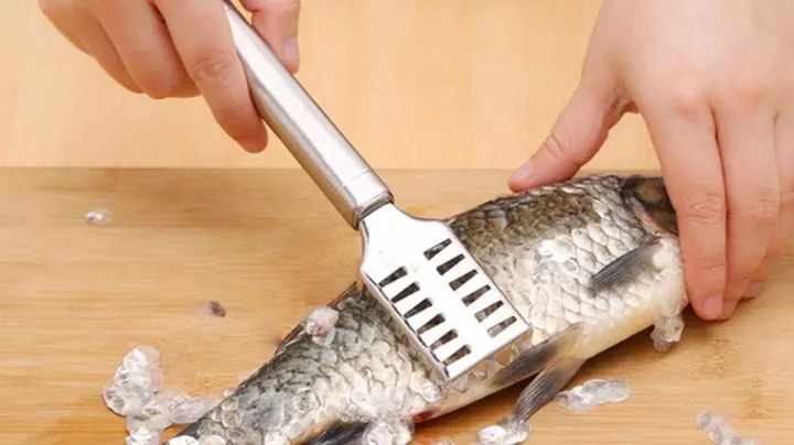 Stainless%20Steel%20Fish%20Scale%20Remover%20Cleaner%20-%20Image%203