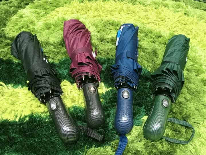 BMW MOTORSPORT 10 RIBS UMBRELLA ( auto open ) ☂