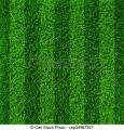 Lawn Grass (Carpet Grass) Seed / Seed- 200 PCS Seeds.