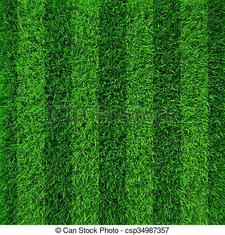 Lawn%20Grass%20(%E0%A6%95%E0%A6%BE%E0%A6%B0%E0%A7%8D%E0%A6%AA%E0%A7%87%E0%A6%9F%20%E0%A6%98%E0%A6%BE%E0%A6%B8)%20Seed-%20200%20pcs%20-%20Image%203