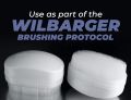 Wilbarger Sensory Brush for Autism from USA.
