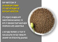 DAP + Potash/Mop (Chemical Fertilizer Combo) - 500+500 = 1 Kg. 