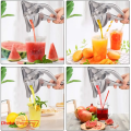 Kitchen Tool Manual Juice Squeezer 304 Stainless Steel Hand Press Juicer Multifunctional - Cyclone. 