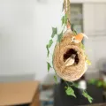 One Hanging Bird Nest with two birds & plant for home and garden decor. Babui Pakhir Basha of 02 size, ( Height with hanging rope15 inch & 14 inch )।.