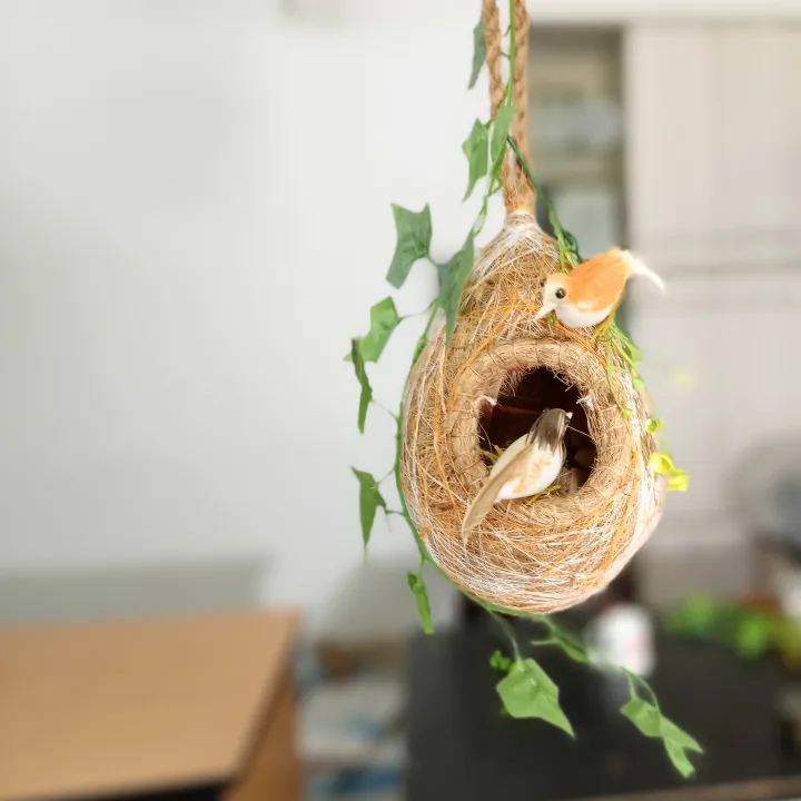 One%20Hanging%20Bird%20Nest%20with%20two%20birds%20&%20plant%20for%20home%20and%20garden%20decor.%20Babui%20Pakhir%20Basha%20%20of%2002%20size,%20(%20Height%20with%20hanging%20rope15%20inch%20&%2014%20inch%20)%E0%A5%A4%20-%20Image%206