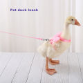 1Pc Cute Pet Harness Adjustable Stainless Long Rope Leash for Duck Chickens Outdoor.