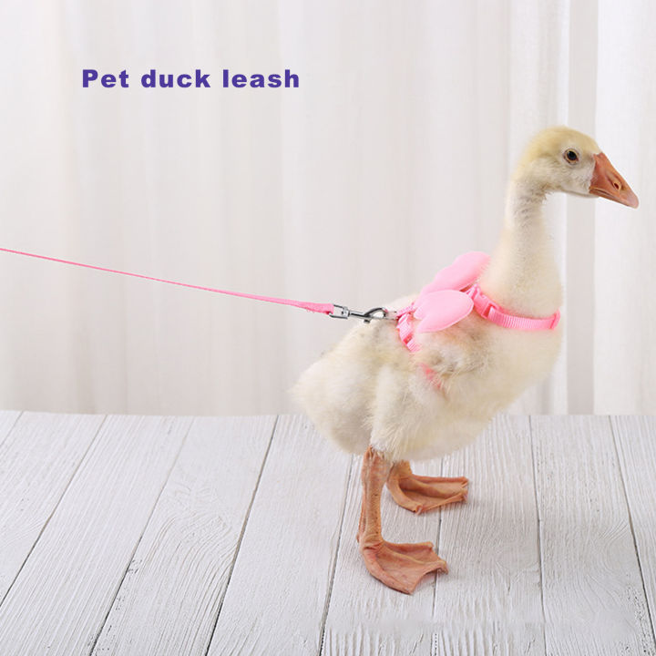 1Pc%20Cute%20Pet%20Harness%20Adjustable%20Stainless%20Long%20Rope%20Leash%20for%20Duck%20Chickens%20Outdoor%20-%20Image%207