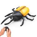 Electric Infrared Remote Control Animal Robotic Scarab Rhino Beetle High Simulation Insect Straight Line Reptile Model Toys.