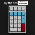 Numpad 21 Key PBT Keycap Mechanical Keyboard OEM Profile Backlit RGB Top Printed Number Keypad Gaming Keycap Mix Color Mx Switch. 