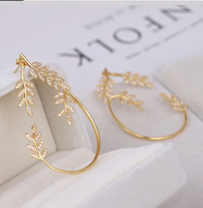 1 Pair Luxury Temperament Earrings for Women