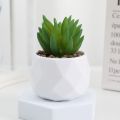 Mini Evergreen Artificial Succulent Fake Plants Plastic Succulents Bonsai Cactus Bonsai Plants Home. 