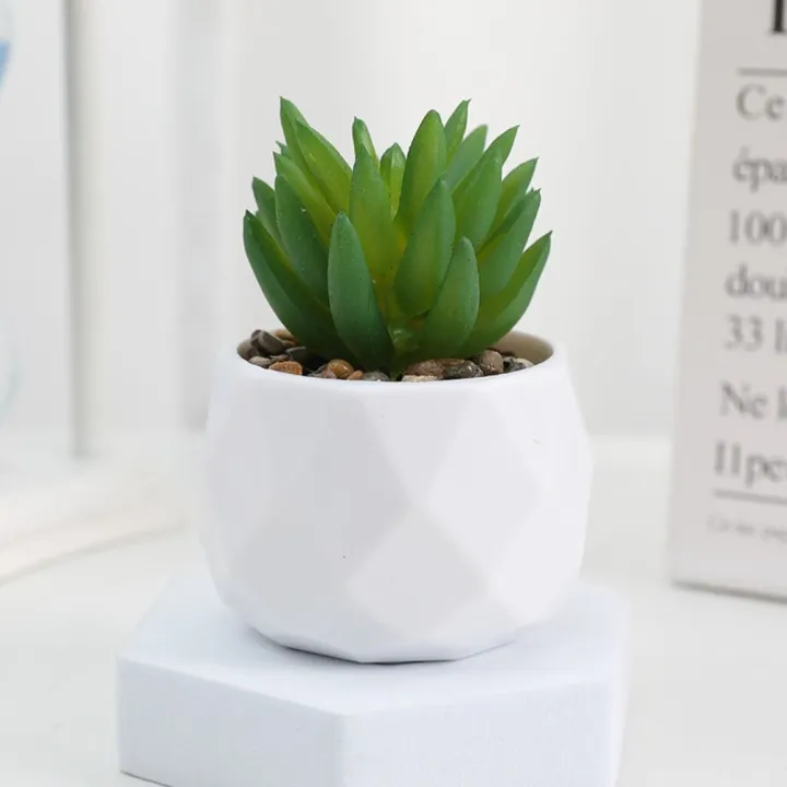 Mini%20Evergreen%20Artificial%20Succulent%20Fake%20Plants%20Plastic%20Succulents%20Bonsai%20Cactus%20Bonsai%20Plants%20Home%20-%20Image%203