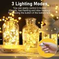Battery Operated 2M 20 LED Copper String Lights – Perfect for Wedding, Garden & Room Decoration.