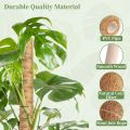 Coco Pole-Cocopeat Stick for indoor Plant 1 pcs 36 Inchi. 