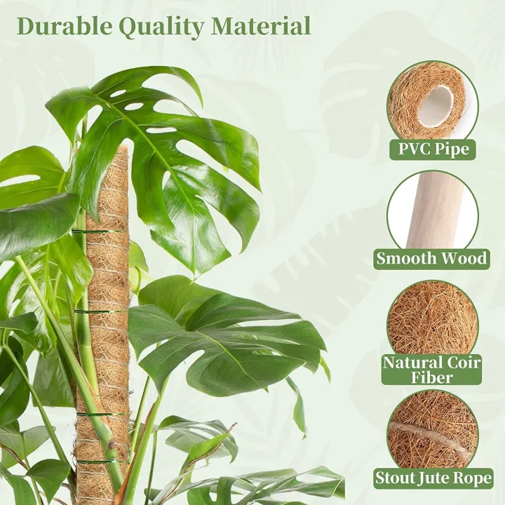 Coco%20Pole-Cocopeat%20Stick%20for%20indoor%20Plant%201%20pcs%2036%20Inchi%20-%20Image%202