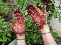 Neeta Natural Organic Henna Mehedi Cones 6 Pis Original Indian. 