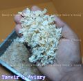 Imported Wood Shaving For Bird Breeding. 