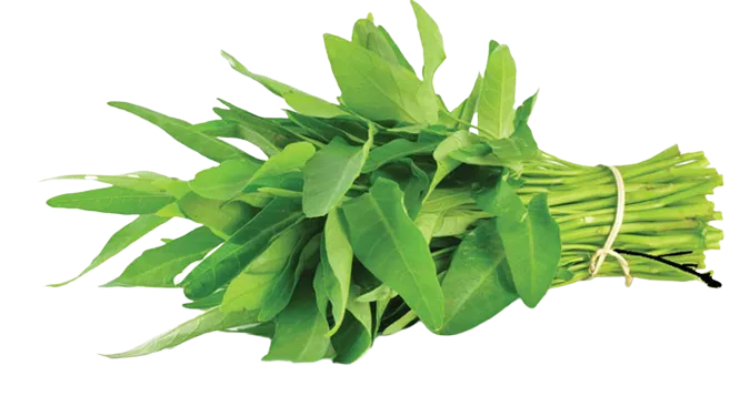 Bismillah%20Seeds%20Kolmi%20Shak%20Seeds%201gm%20Pack%20-%20Image%202