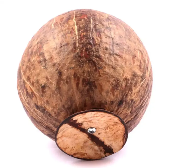 Eco%20Friendly%20Handmade%20Coconut%20Shell%20Made%20Coin%20Bank%20Money%20Saving%20Bank%20Coconut%20She'll%20Bank%20-%20Image%204