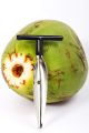 CocoMon Coconut Opener Tool + Stainless Straw for Fresh GREEN Young Fruit Black Rubber Handle EZ Easy Grip SAFE with Stainless Steel Drinking Straws (1 CocoMon + 4 Straw).