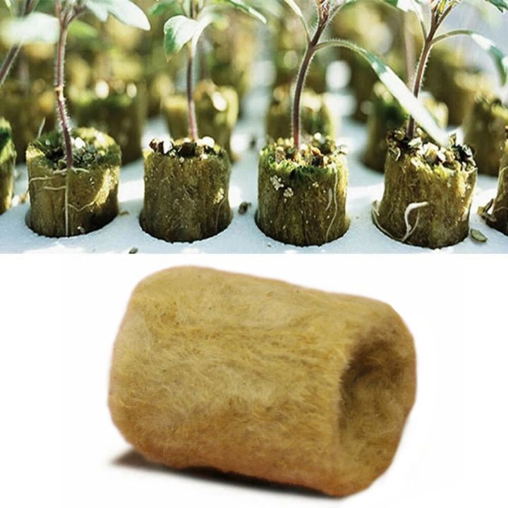100Pcs%20Soilles%20Planting%20Sponge%20Grow%20Garden%20Cubes%20Rock%20Wool%20Plug%20Soilless%20Culture%20Substrate%20-%20Image%203