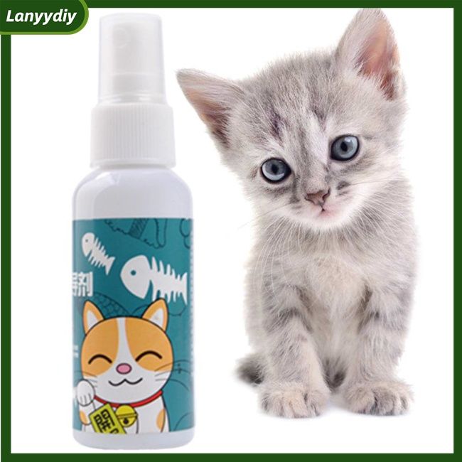 gd%20Cat%20Catnip%20Spray%20Natural%20Healthy%20Safe%20Long-term%20Effect%20Scratching%20Pad%20Inducer%20Pet%20Training%20Toy%20-%20Image%204