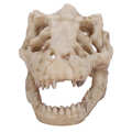 fish tank decor artificial simulation dinosaur skull shape for water lan.