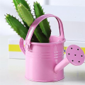 Kids Watering Can Children Iron Watering Tin Sprinkling Kettle for Garden Home Plants Flower. 