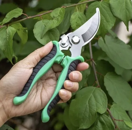 Stainless%20Steel%20Pruner%20Tree%20Plant%20Cutter%20Gardening%20Pruning%20Shear%20Trimming%20Pruning%20Scissors%20-%20Image%205