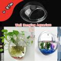 Full Transparent Plastic Wall-Hanging Aquarium | Wall Hanging Fish Tank | Wall aquarium bowl. 