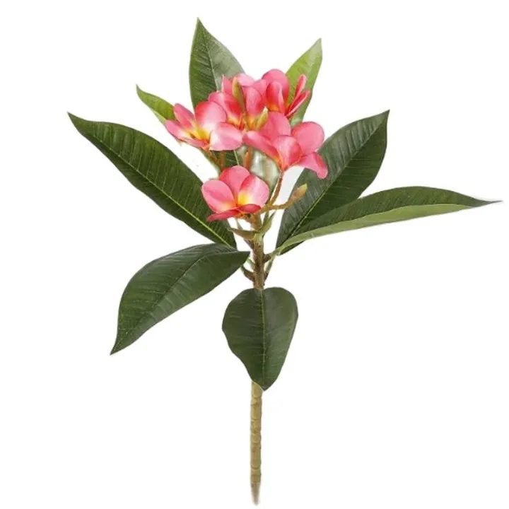 One%20Faux%20Single%20Stem%20Frangipani%2023%20Length%20Simulation%20Plumeria%20Real%20Touch%20Green%20Leaf%20for%20Wedding%20Centerpieces%203%20Colors%20-%20Image%205