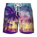 Coconut Tree Graphic Surfing Board Shorts Pants Men 3D Print Tropics Sea Island Beach Shorts Hawaii Swimsuit Ice Shorts Swimwear.