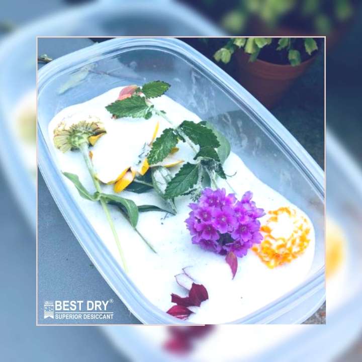 Powder%20Silica%20Gel%20Desiccant%20500%20gram%20for%20Flower%20Drying%20and%20Make%20Good%20Shape%20-%20Image%203