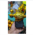 Gold Color Cricket & Football 8 Inch Mini Trophy - Cricket mini trophy - Football mini trophy - Mini trophy. 