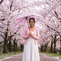 Cherry Blossom Printed Clear Umbrella Three-Fold Transparent Umbrella Rain Gear Outdoor Sunshade Uv Protection.