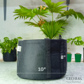 Premium Quality GEO Bag 3 Gallon (Dia-8" Hight-7") -1 PCS / Plant Grow Bags, Synthetic Pot. 