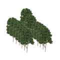 20pcs Model Tree 7.5cm Green, Train Railroad Architecture Diorama N Scale for DIY Crafts or Building Models. 
