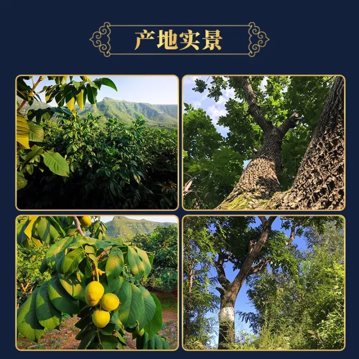 Collection%20Walnuts%20Juglans%20Hopeiensis%20KIRIN%20Pattern%20Officer's%20Cap%20s%20Head%20Boutique%20Playing%20Hand%20-%20Image%207