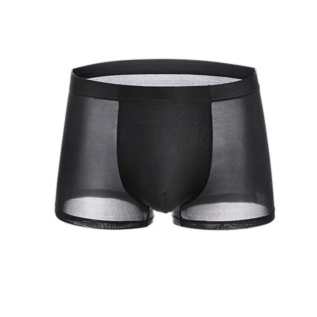 Summer%20Ice%20Silk%20Men%20Underwear%20Seamless%20Transparent%20Boxer%20Shorts%20Ultra%20Thin%20Sheer%20Breathable%20Comfortable%20Panties%20Underpants%20-%20Image%202