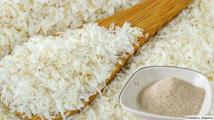 Isubgul%20Vushi/%20Psyllium%20Husk/%20Isubgul/%20Isubgul%20Vushi-%20500%20gm%20-%20Image%202