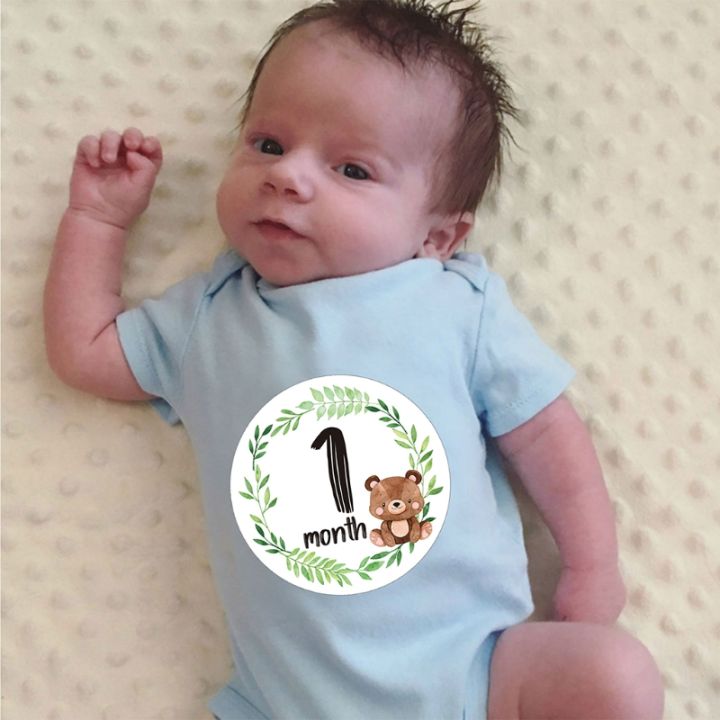 12%20Pcs/Set%20Newborn%20Milestone%20Memorial%20Month%20Stickers%20Floral%20Baby%20Monthly%20Stickers%20Photography%20Commemorative%20Card%20-%20Image%206