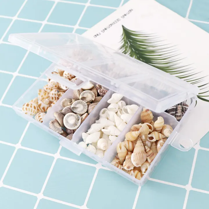 About%20100Pcs/Box%20Natural%20Conch%20Shells%20Aquarium%20Landscape%20Seashells%20Crafts%20Decor%20Cherry%20Super%20Store%20-%20Image%205