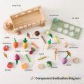 Wooden Montessori Toy 4-in-1 Intelligence Box Set Column Pull Radish Cart Game Stick Kids Shape Matching Educationsl Toys Puzzle KankongAgu. 